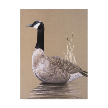 Rusty Frentner 'Lone Goose' Canvas Art,35x47